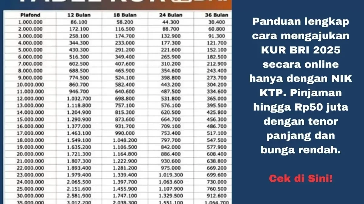 UMKM Auto Cuan! Pemerintah Gelontorkan Rp 300 Triliun untuk KUR 2025