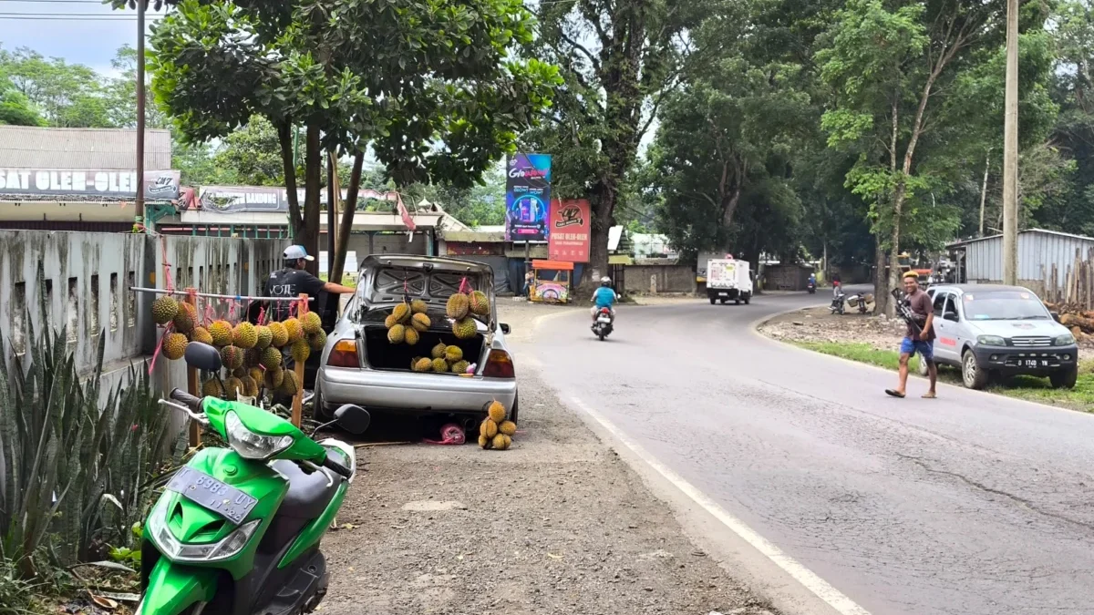 Musim Durian Subang