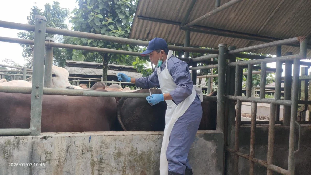 Dinas Peternakan dan Kesehatan Hewan Kabupaten Subang