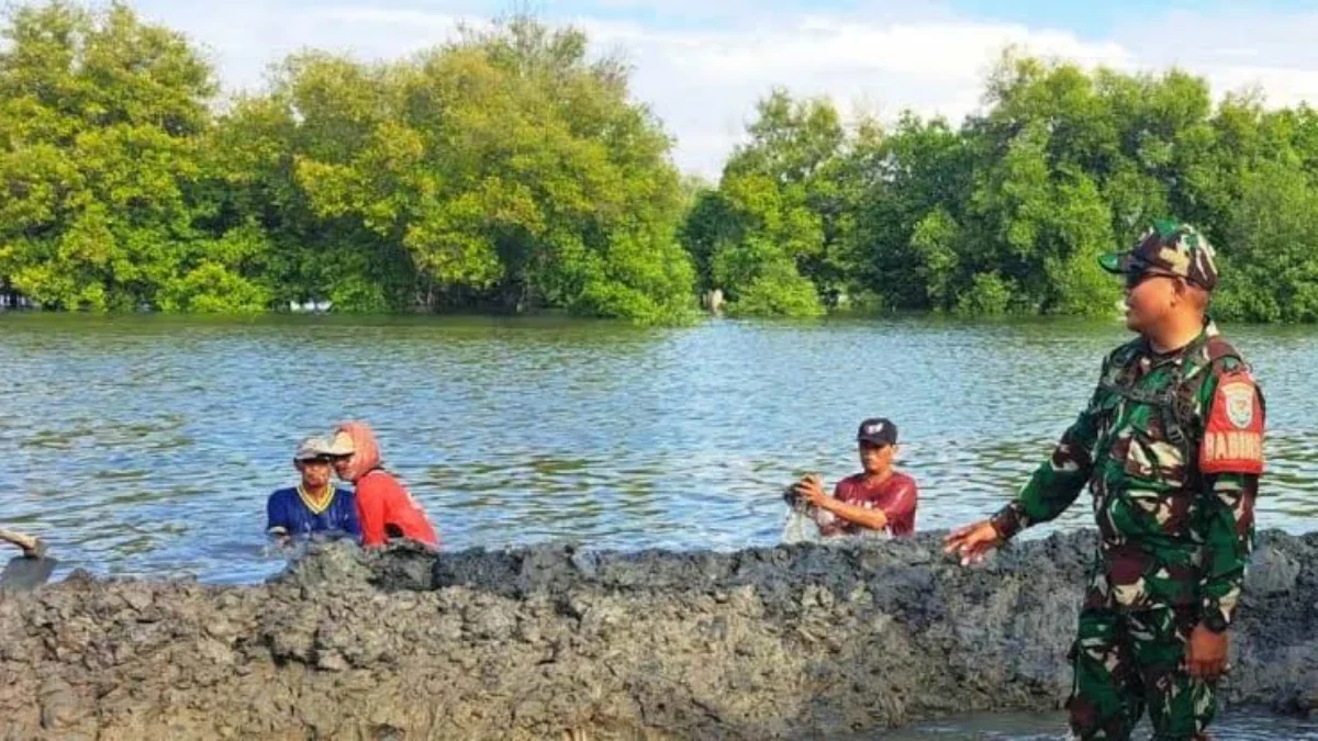 Warga Sukasari Gotong Royong Perbaiki Tanggul untuk Cegah Banjir Rob