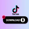 Download Video TikTok HD Tanpa Aplikasi, 100% Gratis!