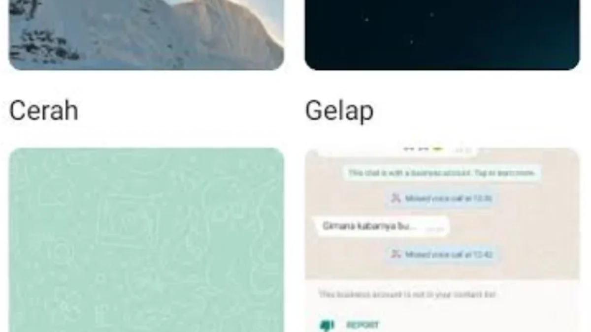 Tanpa Aplikasi! Ini Cara Simpel Ganti Background Layar Utama WhatsApp Sesuai Selera 2025!