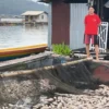 ikan di Waduk Jatiluhur