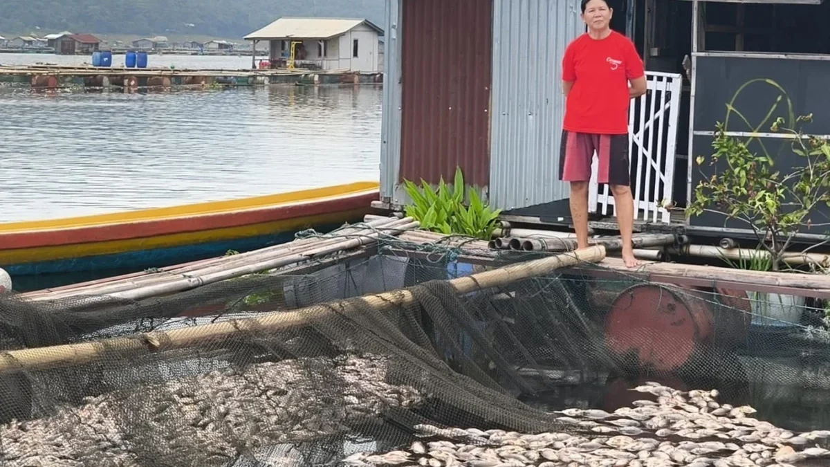 ikan di Waduk Jatiluhur