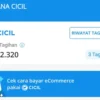 Cara Mudah Aktifkan DANA Cicil di Aplikasi DANA