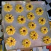 Resep Kue Semprit 500 Gram Renyah Gak Gampang Basi? Begini Resepnya!