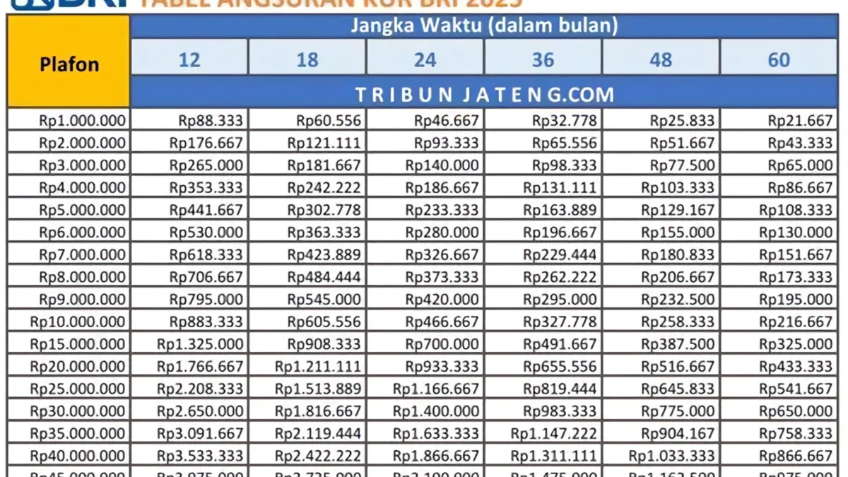 Dana Kur BRI 2025 Kapan dibuka? Solusi Modal Usaha bagi Pelaku UMKM