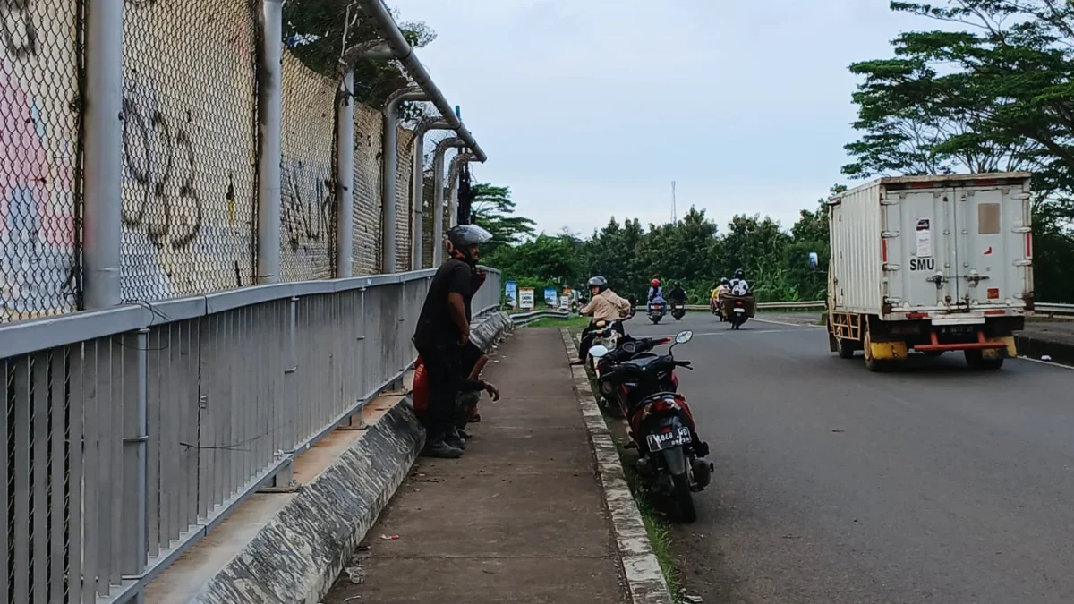 Jembatan Layang Tol Cikopo-Palimanan