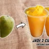 Cuma 3 Menit! Begini Cara Bikin Es Mangga Yakult Nata de Coco yang Super Segar!