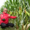 Benih Unggul dan Adopsi Teknologi Ewindo Jadi Rahasia Sukses Petani