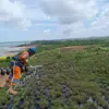 saluran udara tegangan tinggi