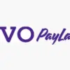 Cara Pinjam Uang di OVO PayLater tanpa Ribet, Ini Panduan Lengkapnya!