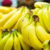 Jenis-Jenis Pisang di Indonesia