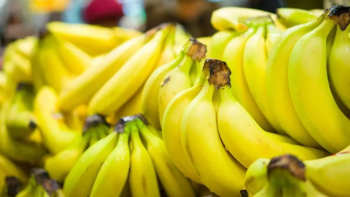 Jenis-Jenis Pisang di Indonesia