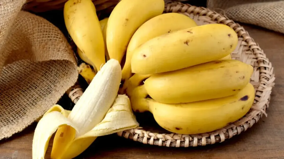 Ciri-Ciri Pisang Ambon