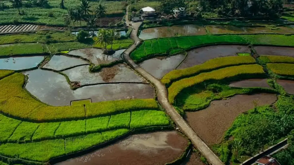 Desa Wisata Cibuluh Subang