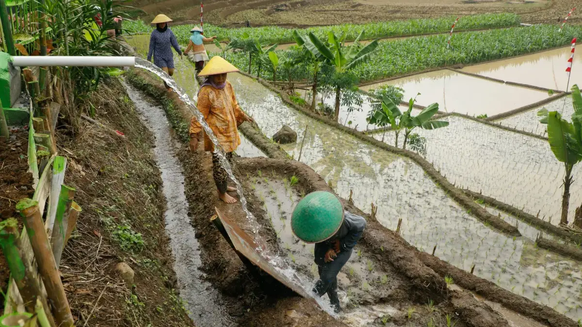 lumbung padi nasional
