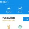 Penyebab Saldo DANA Tidak Masuk, Jangan Panik!