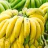 Pisang