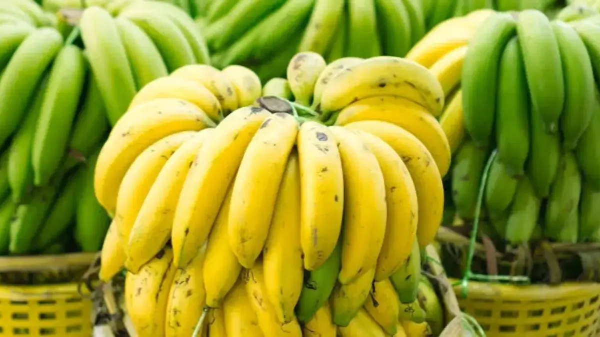 Pisang
