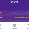 Cara Pinjam Uang di OVO, Ternyata Pakai Fitur Ini