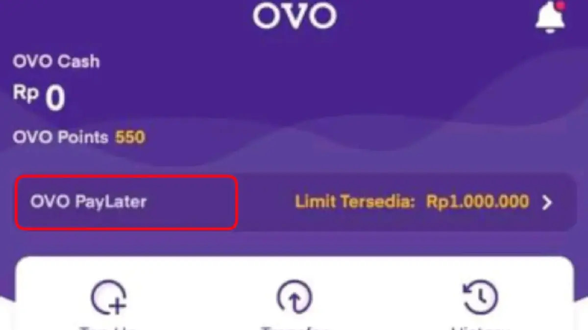 Cara Pinjam Uang di OVO, Ternyata Pakai Fitur Ini
