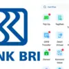 Cara Top Up DANA Lewat BRI, Bisa Pakai BRImo atau ATM