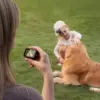 DJI Osmo Nano