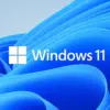 Update Windows 11
