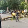 Satlantas Polres Subang Sigap Evakuasi Pohon Tumbang di Jalan Rangga Wulung