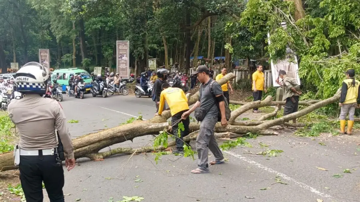 Satlantas Polres Subang Sigap Evakuasi Pohon Tumbang di Jalan Rangga Wulung