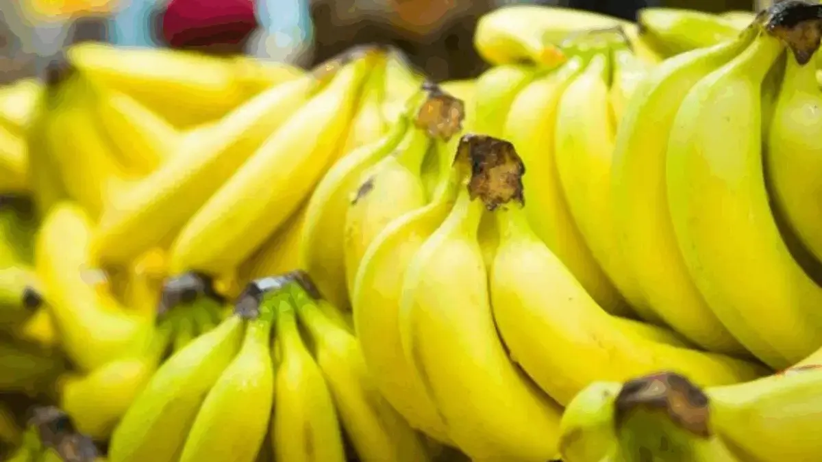 Rekomendasi 7 Jenis Pisang untuk Dikukus, Aroma Harum dan Rasanya yang Legit (Ilustrasi pisang. Foto: AFP Phot