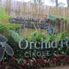Orchid Forest Cikole