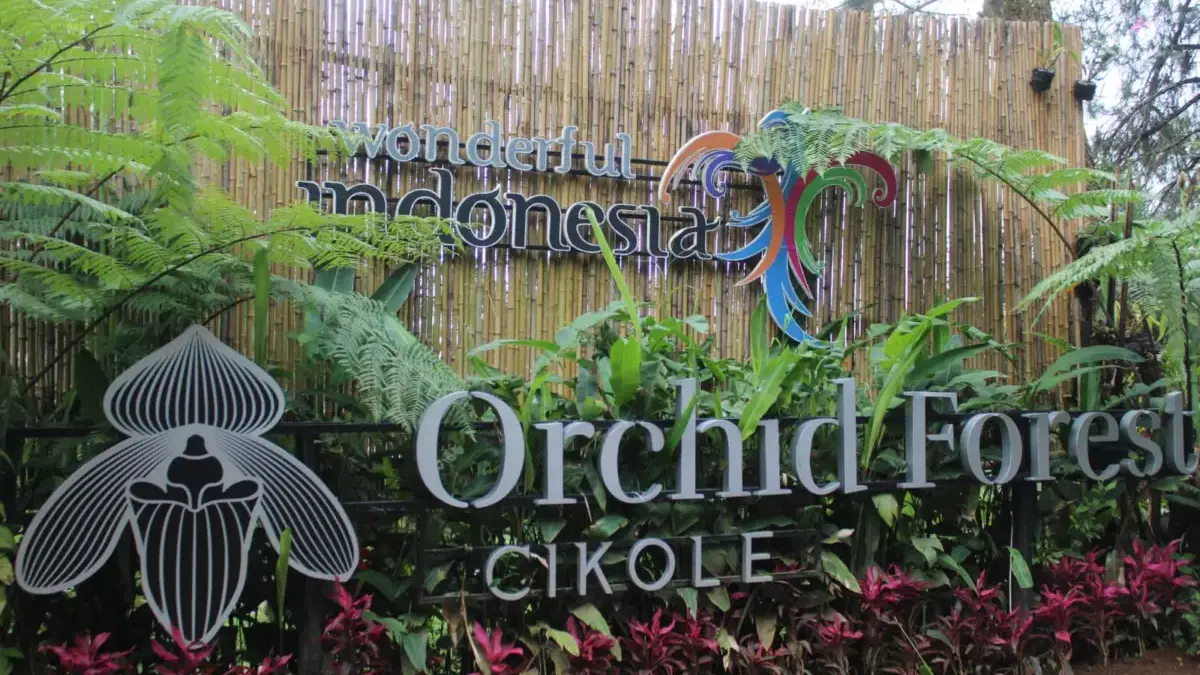 Orchid Forest Cikole