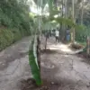 Desa Cikahuripan Kecamatan Lembang Kabupaten Bandung Barat