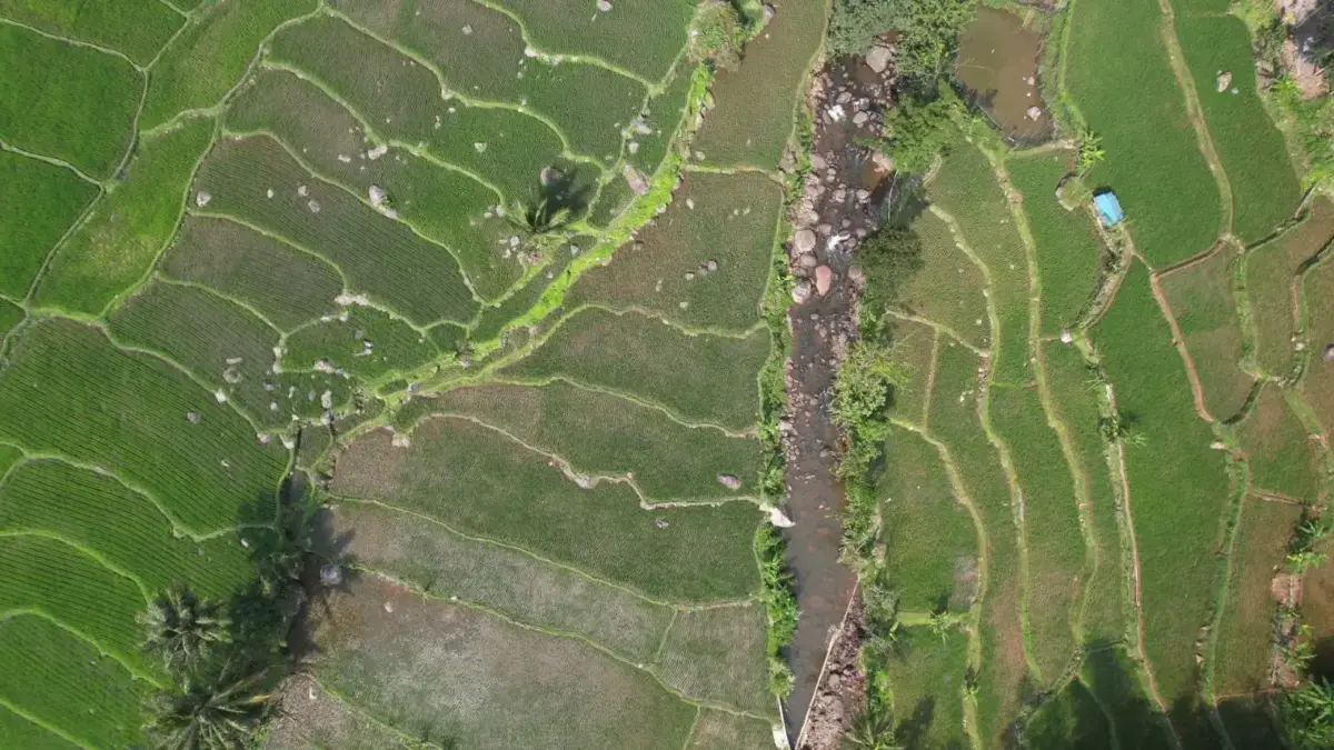 Reforma Agraria Jawab Ketimpangan Penguasaan dan Pemilikan Tanah