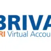 Panduan Cara Bayar BRI Virtual Account BRIVA di ATM dan BRImo