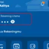 Panduan Cara Cek Saldo BRI di ATM dan BRImo