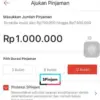 Banyak yang Belum Tau, Ini Rahasia Cara Pinjam Uang di TikTok Paylater dengan Aman