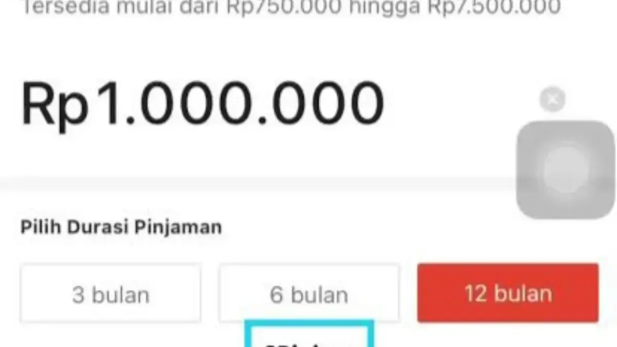 Banyak yang Belum Tau, Ini Rahasia Cara Pinjam Uang di TikTok Paylater dengan Aman