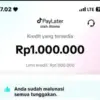 Tips Paling Mudah Cara MENCAIRKAN Limit TikTok Paylater