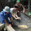 Kampung Reforma Agraria Desa Bandung