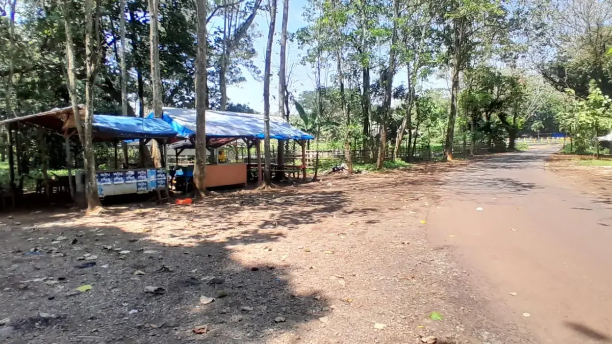 Lahan Perhutani