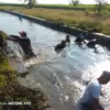Petani di Desa Bojonegara Kecamatan Tambakdahan