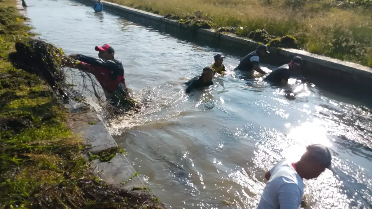Petani di Desa Bojonegara Kecamatan Tambakdahan