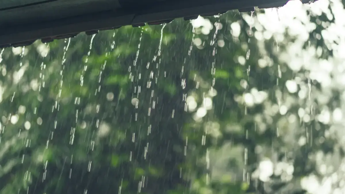 Cara Menjaga Kesehatan Selama Musim Hujan, Tetap Sehat Meski Cuaca Berubah-ubah Cara Menjaga Kesehatan Selama Musim Hujan, Tetap Sehat Meski Cuaca Berubah-ubah