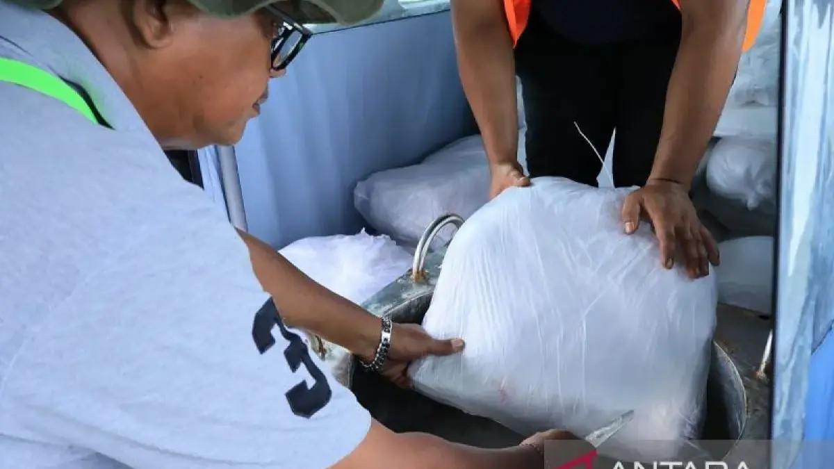 BNPB mempercepat operasi cuaca dan penyediaan perumahan sementara di Sumatera.