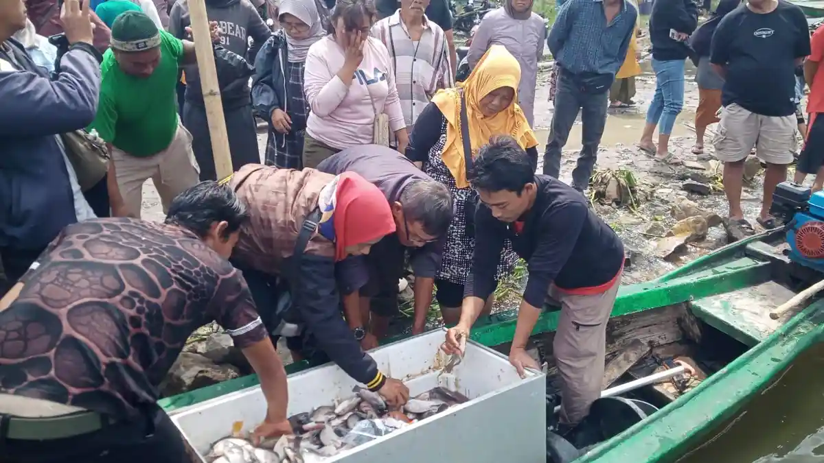 Ikan Mabuk di Waduk Jatiluhur Dijual Murah, Langsung Diserbu Warga, \'\'Enggak Busuk-busuk Amat,\'\'.