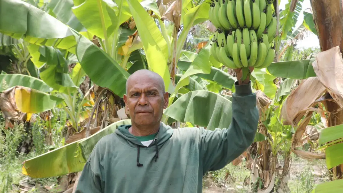 Reforma Agraria Ubah Pola Pikir Warga Desa Baumata di Kabupaten Kupang, Hasilkan Peningkatan Penghasilan Petan Reforma Agraria