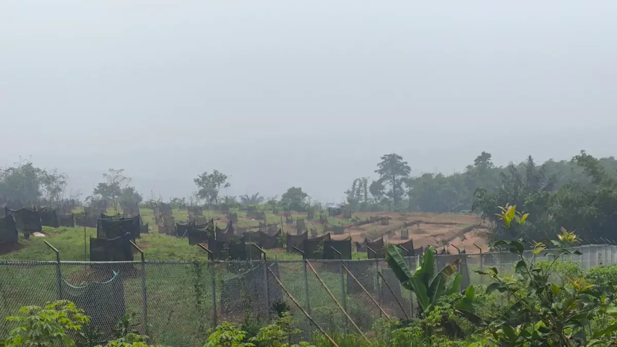 Warga Kampung Nyalindung Keluhkan Pencemaran Mata Air, Kesulitan Air Bersih Akibat Aktivitas Kebun Durian Kebun durian